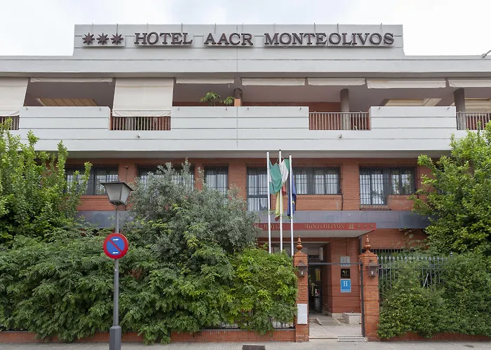 AACR Hotel Monteolivos Siviglia